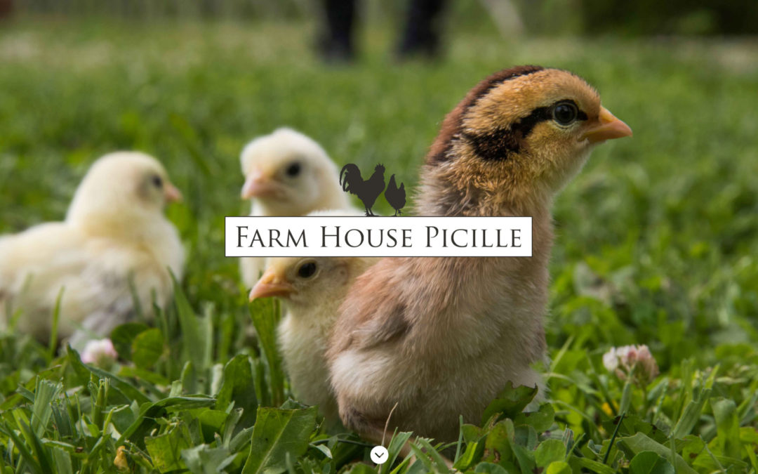 Farmhousepicille.it è online!