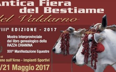 Antica Fiera del Bestiame del Valdarno