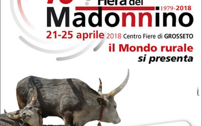 40a Fiera del Madonnino